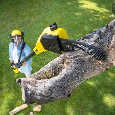 Best Commercial Tree Services  in New London, IA